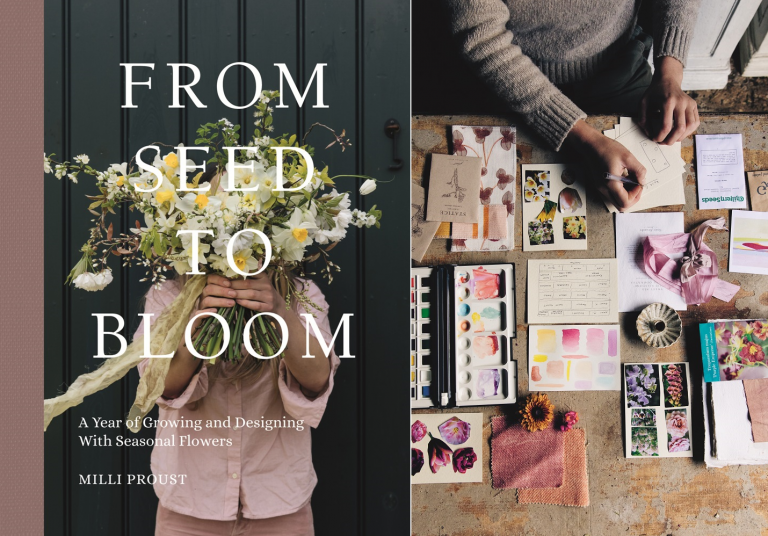 From Seed To Bloom Slowflowers Journal