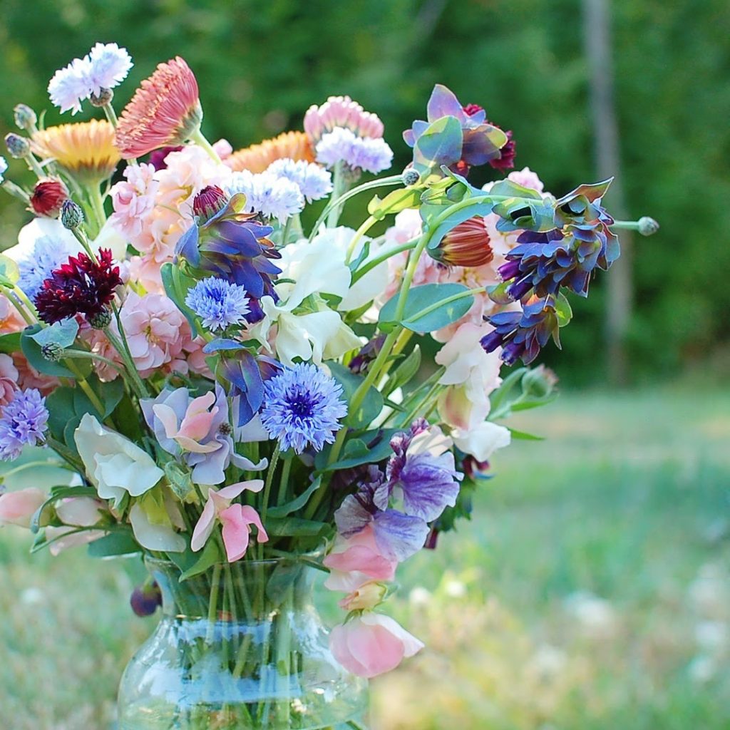 Cut Flowers For Bouquets at Harry Jones blog