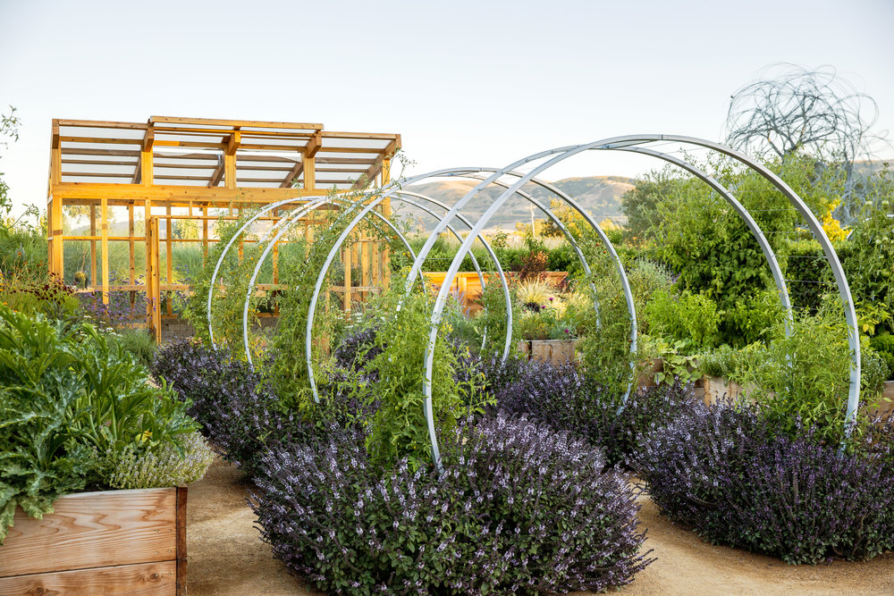 A Modern Greenhouse for the Slow Flowers Cutting Garden - SlowFlowers  Journal