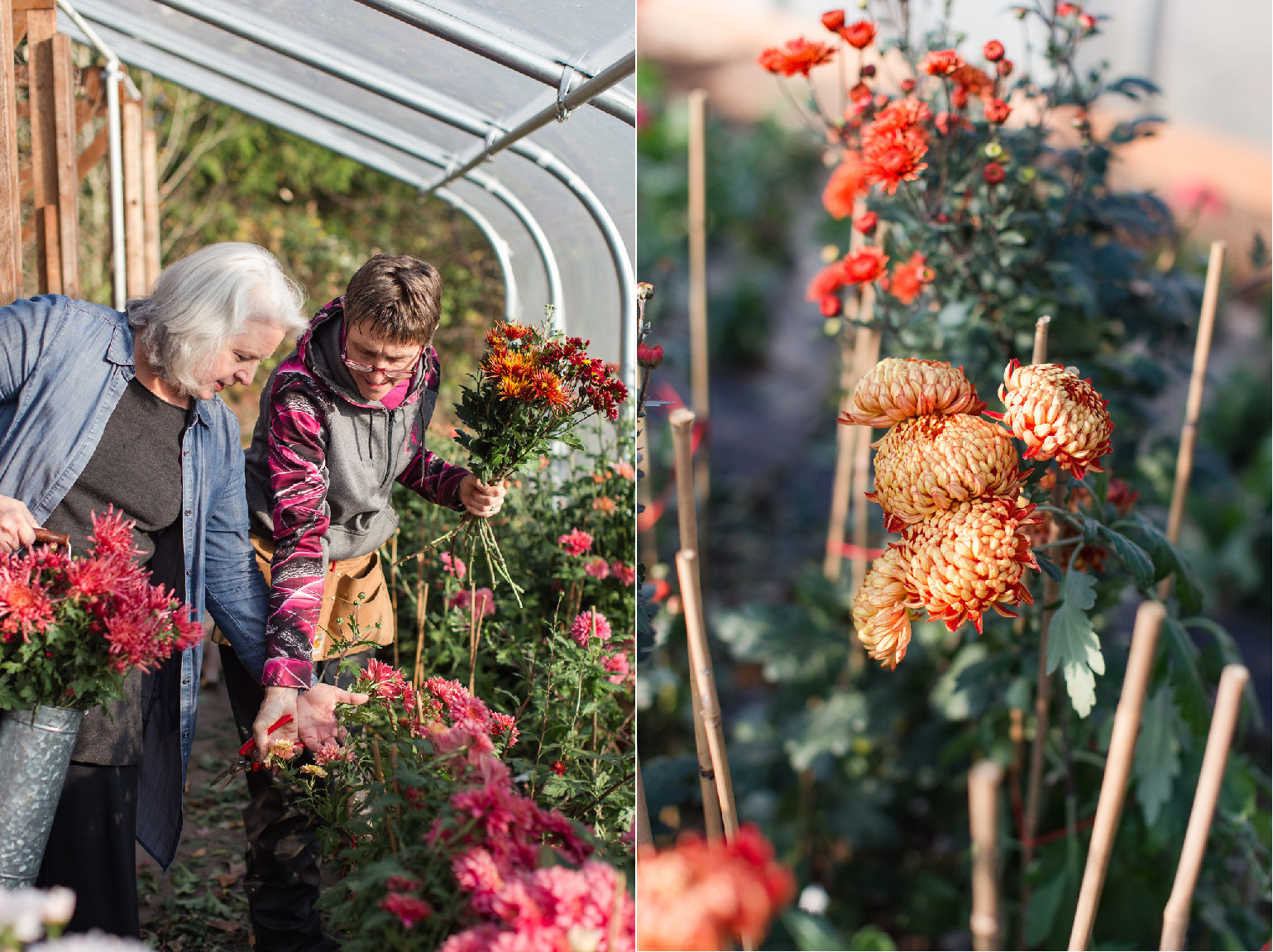 Stanley Charm – Everyday Wildflower