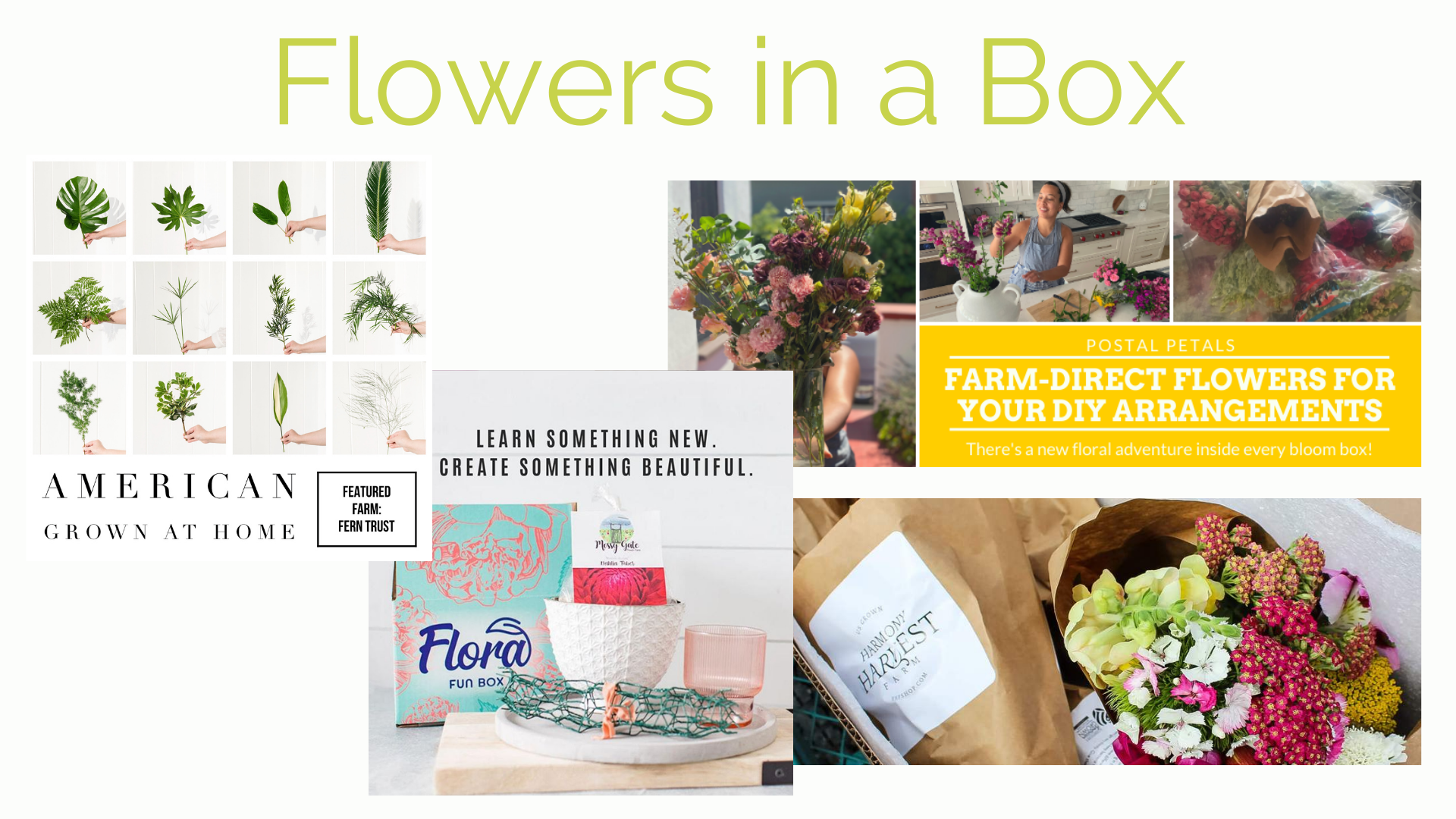 Slow Flowers Floral Insights & Industry Forecast for 2021 - SlowFlowers ...