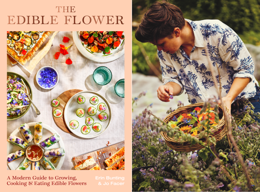 How To Prepare Edible Flowers: A Guide » Slow Living Kitchen