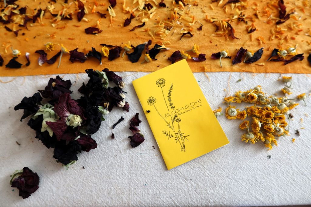 Tiny Calendula 2024 Bundle