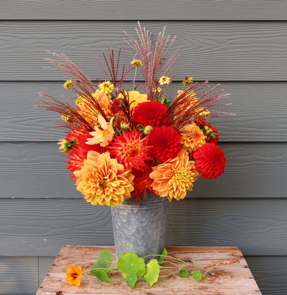 Autumn flower arranging - Thrive