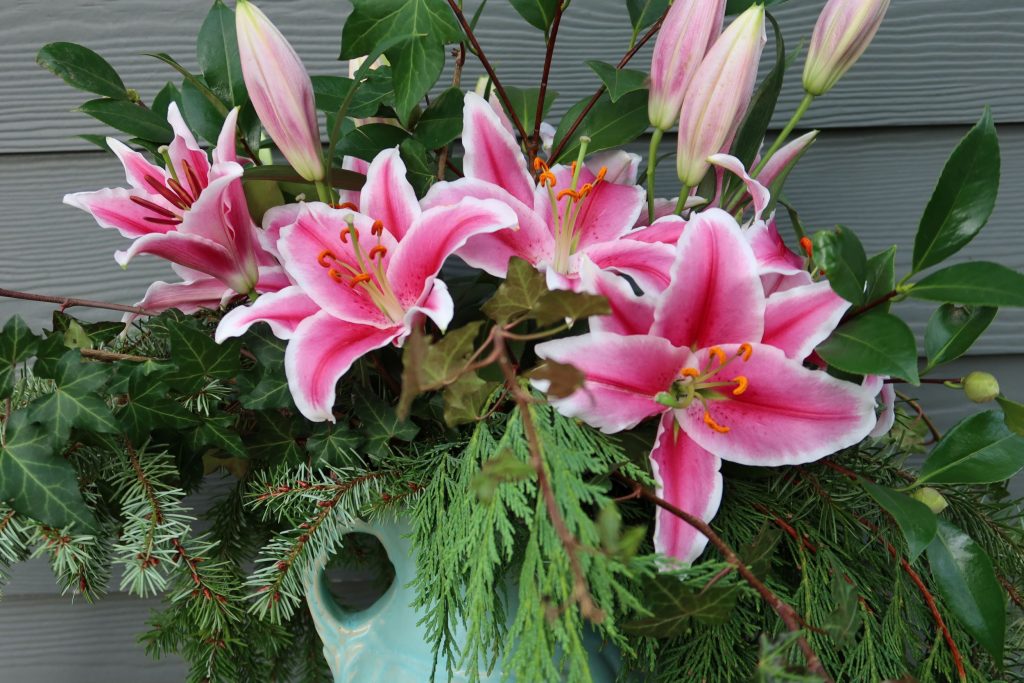 Stargazer lilies from Peterkort Roses