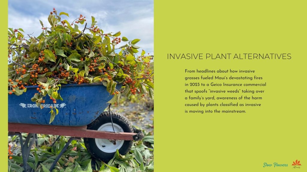 Invasive Plant Alternatives