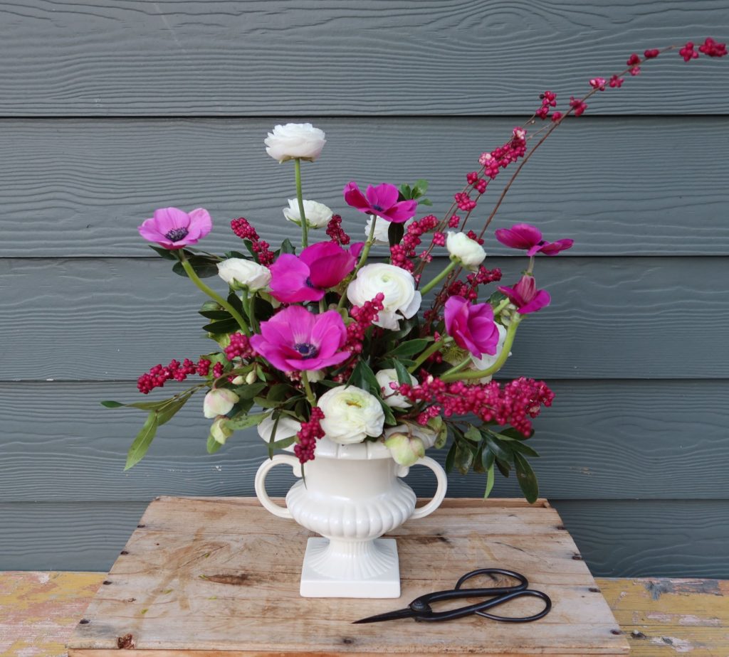 Creamware urn with white ranunulus, hot pink anemones, garden hellebores and Hancock snowberry