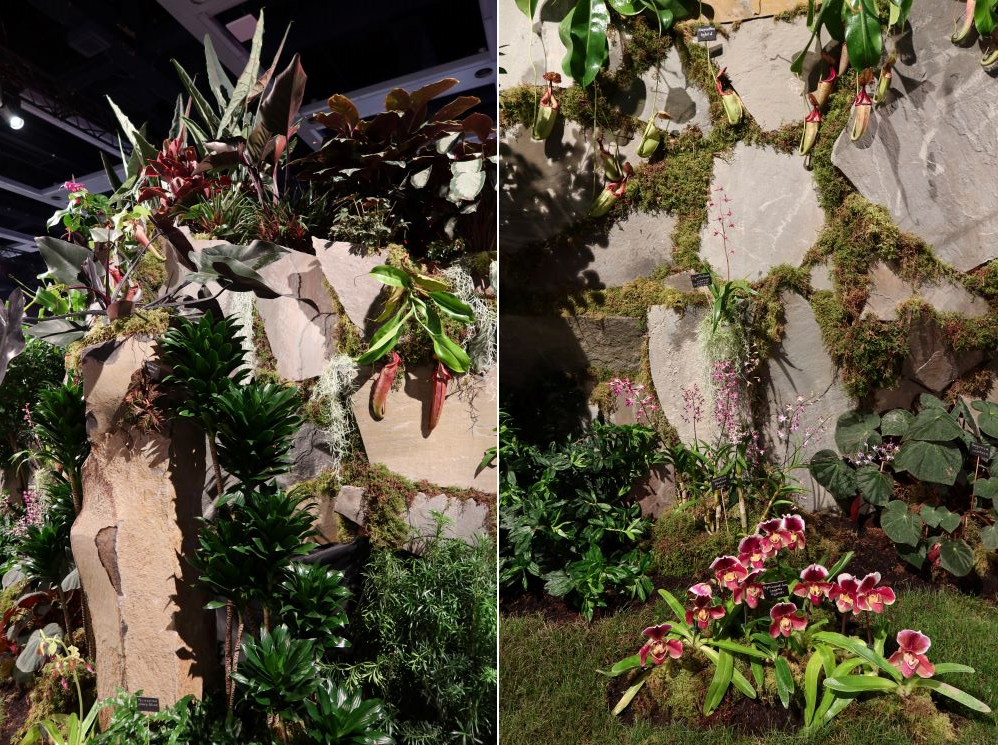 A world-class orchid collection presented in a fantastical storyline