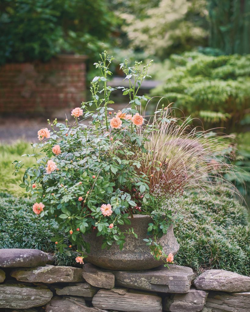 Photographs by Martha Lawlor (p. 6, 79, 98) and Greg Lehmkuhl (p. 91, 110). Copyright © 2026.” a